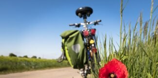 Anti Cortisol Foods – Chronic Kidney Disease Solution