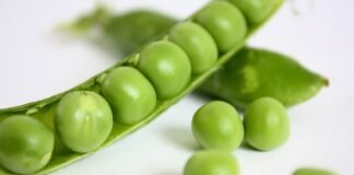 Antibiotic Alternatives – Natural Solutions?